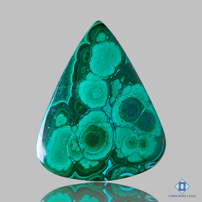 Orbicular Malachite