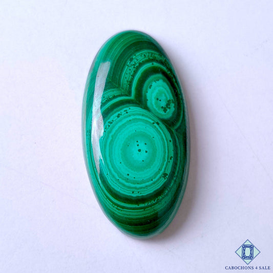 Orbicular Malachite