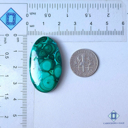 Natural Orbicular Malachite Gemstone  Oval Cabochons 35*21*6mm from Namibia  available for sale