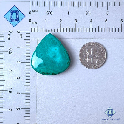 Natural Orbicular Malachite Gemstone  Pear Cabochons 27*25*6mm from Namibia  available for sale