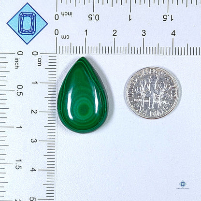 Orbicular Malachite Pear Cabochons