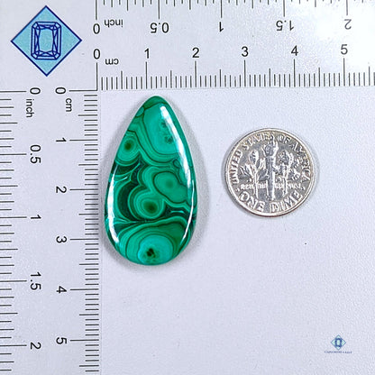 Orbicular Malachite Pear Cabochons