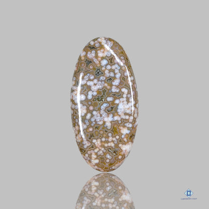 Orbicular Ocean Jasper