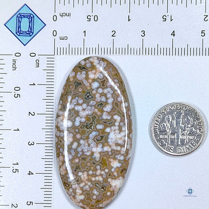 Orbicular Ocean Jasper Oval Cabochons