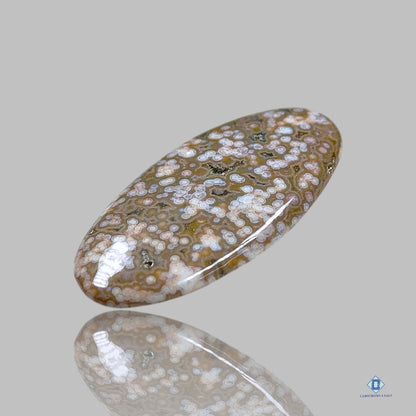 Orbicular Ocean Jasper Oval Cabochons