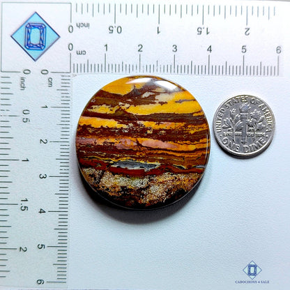 Outback Jasper Round Cabochons