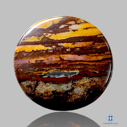 Outback Jasper Round Cabochons