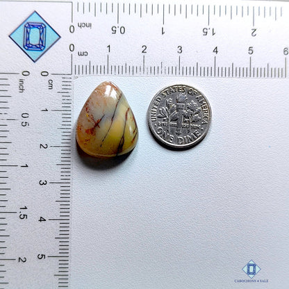 Outback Jasper Pear Cabochons