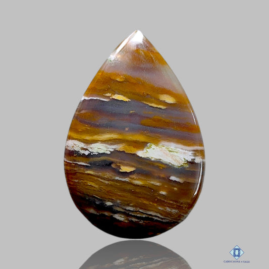 Owyhee Jasper