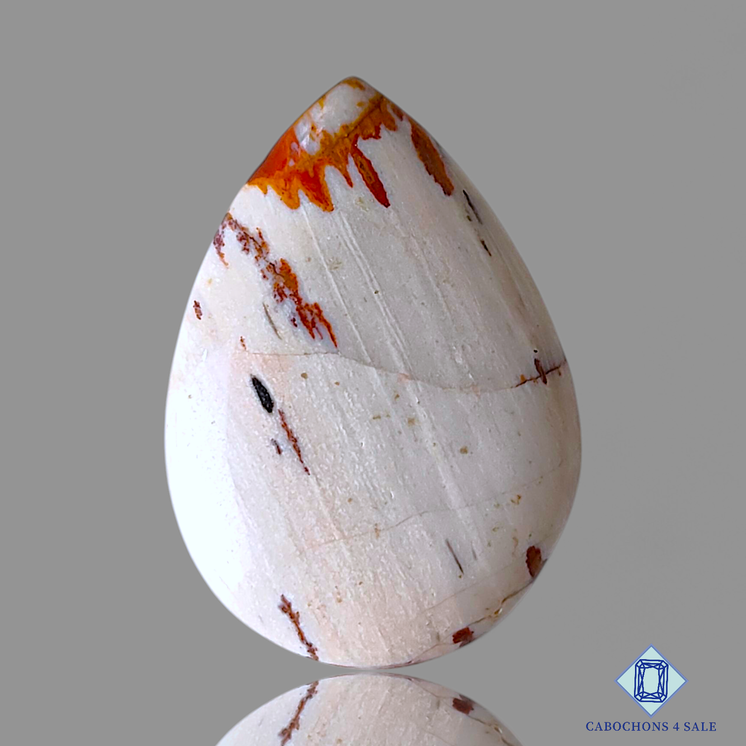 Owyhee Picture Jasper