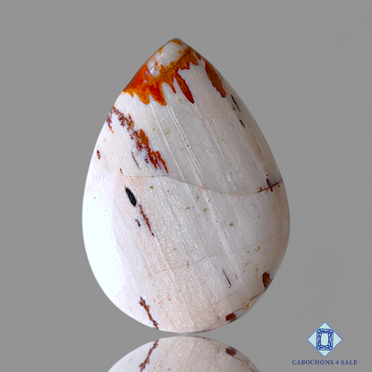 Owyhee Picture Jasper