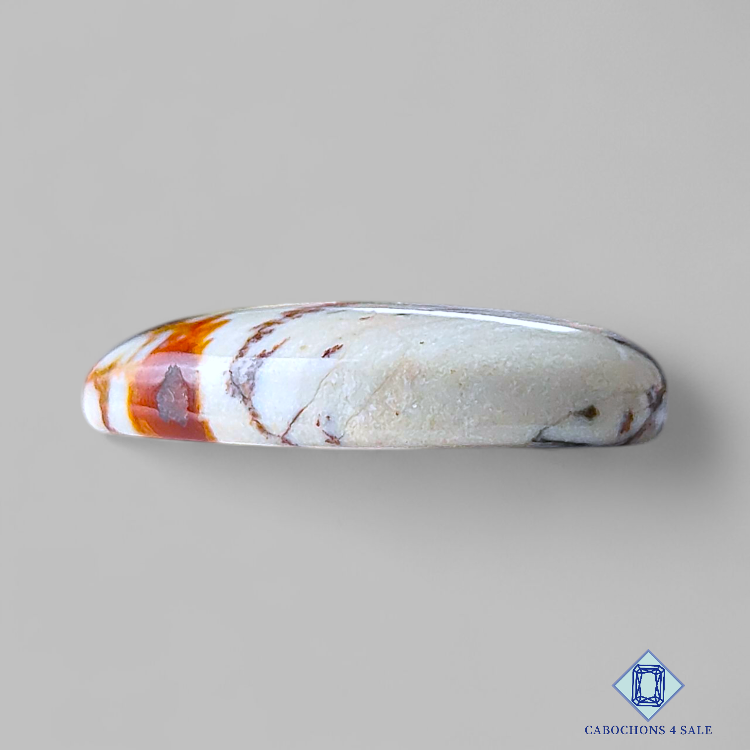 Owyhee Picture Jasper