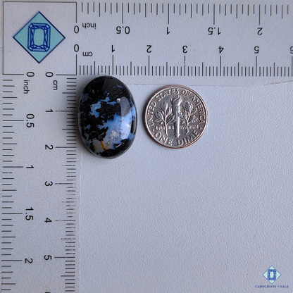 Palm Root Agate