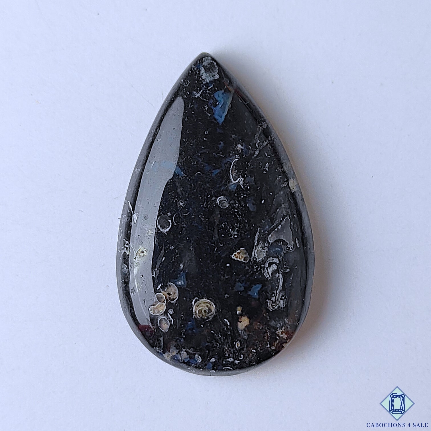 Palm Root Agate