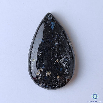 Palm Root Agate