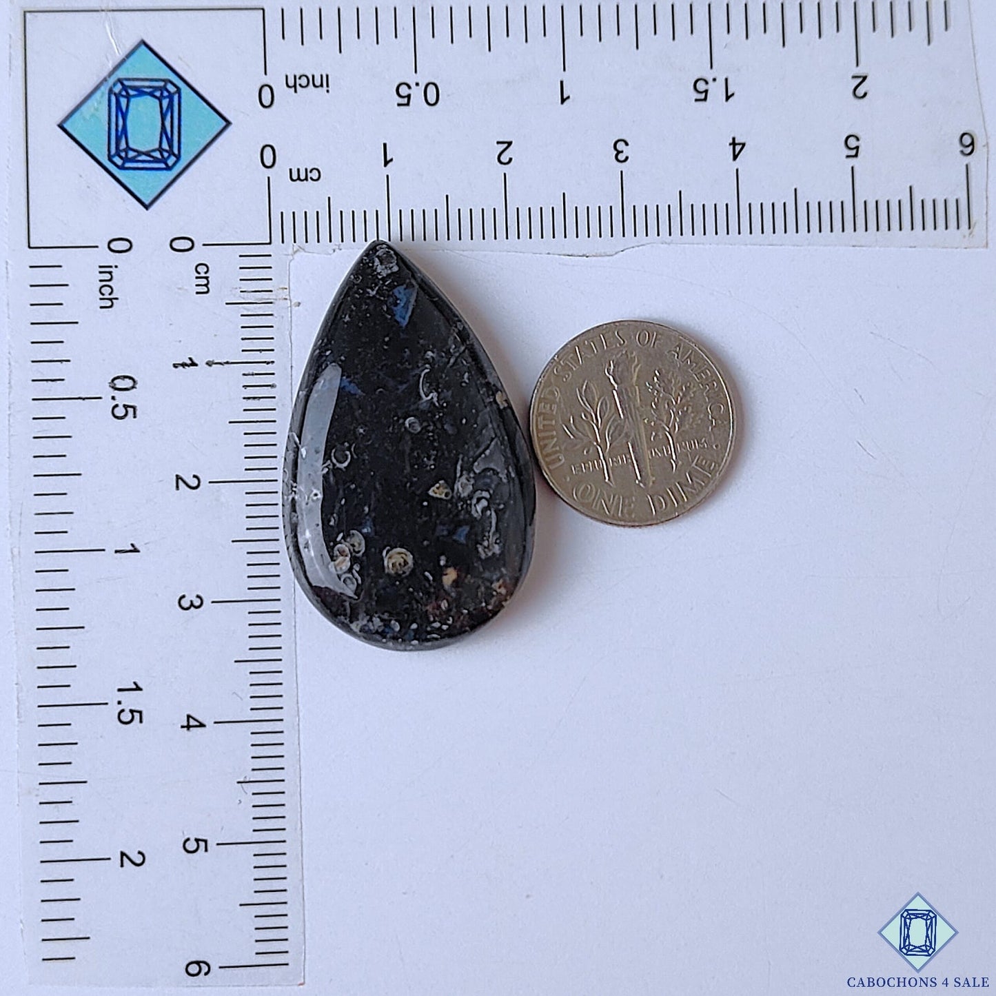 Palm Root Agate