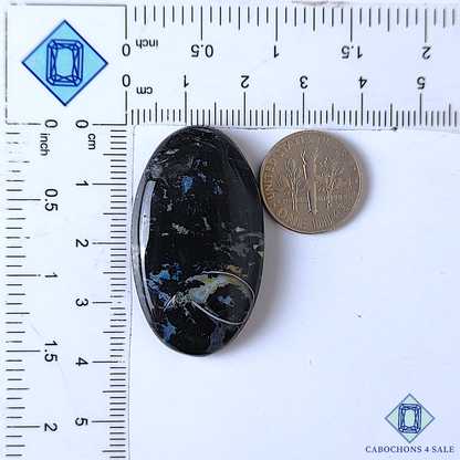Palm Root Agate