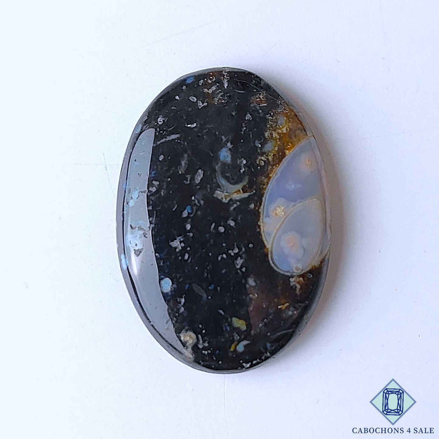 Palm Root Agate