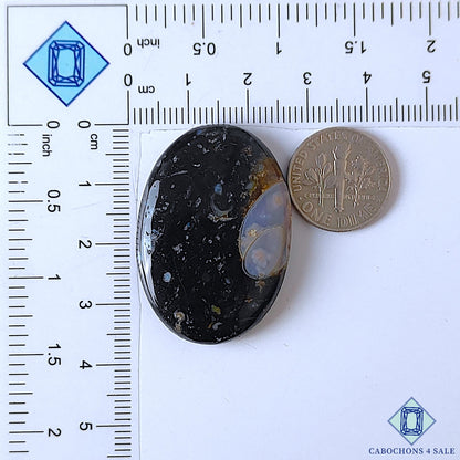 Palm Root Agate