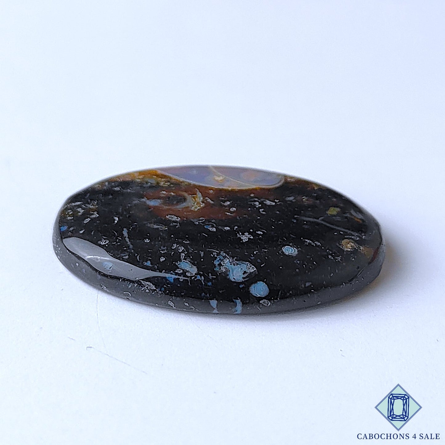 Palm Root Agate