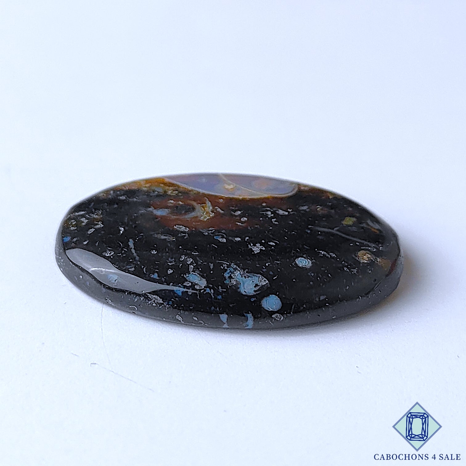Palm Root Agate
