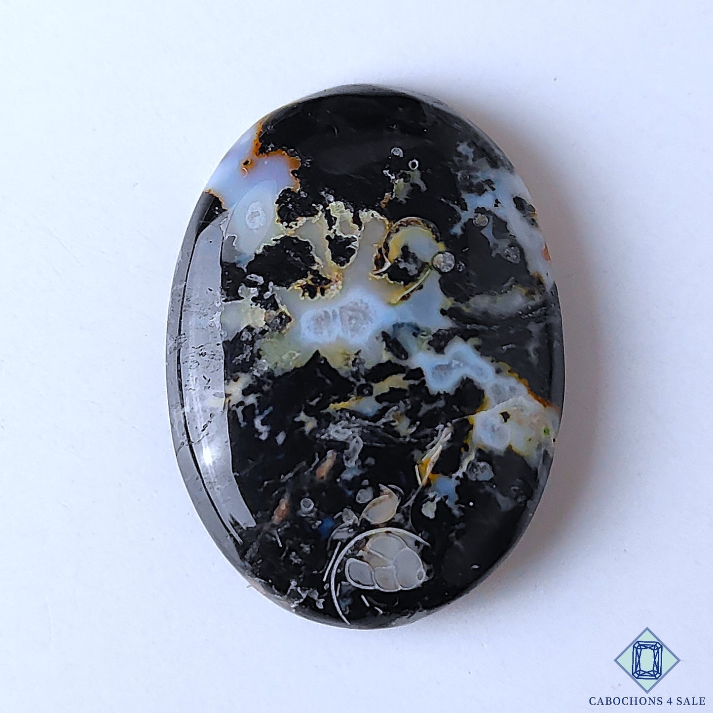 Palm Root Agate