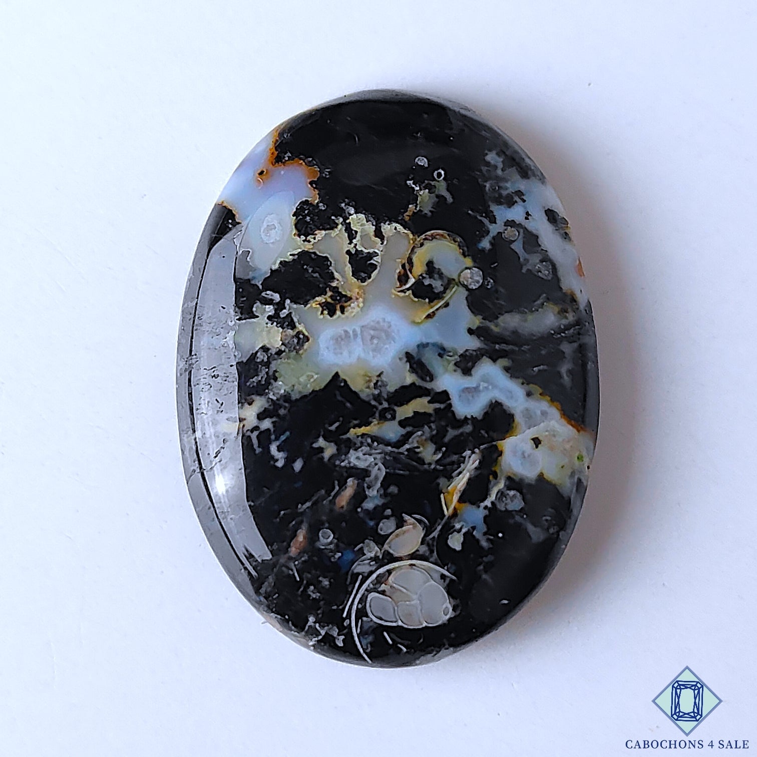 Palm Root Agate