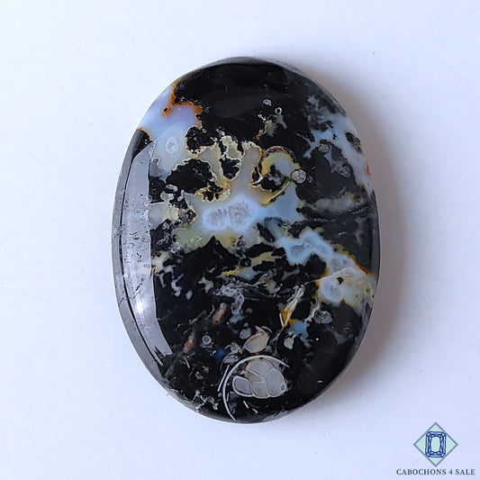 Palm Root Agate