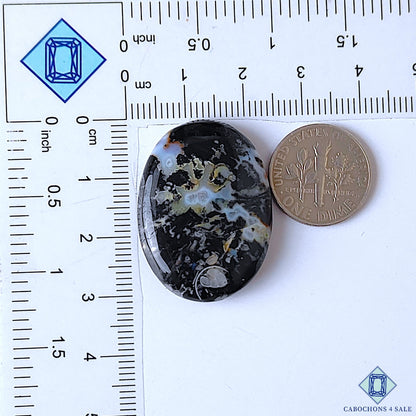 Palm Root Agate