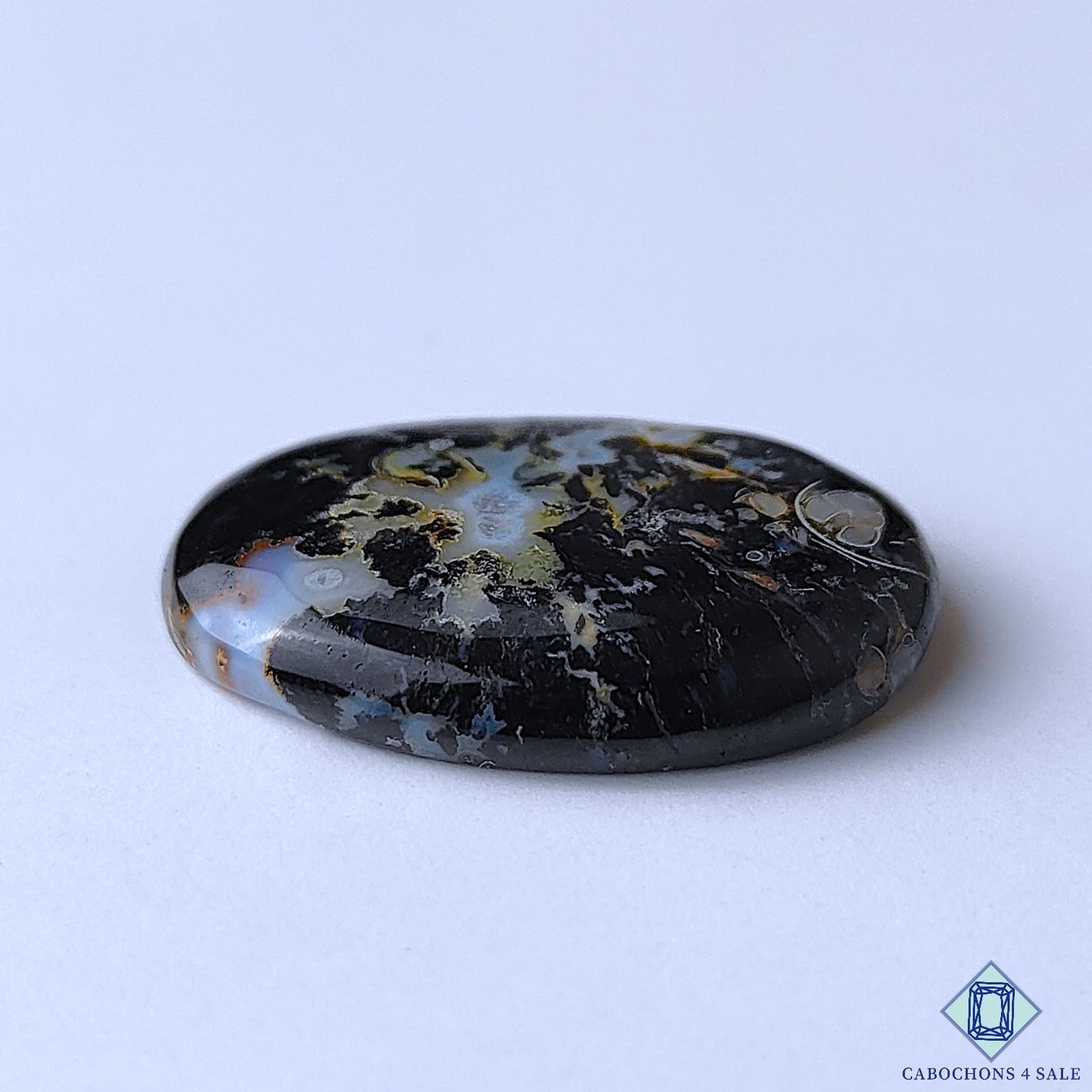 Palm Root Agate