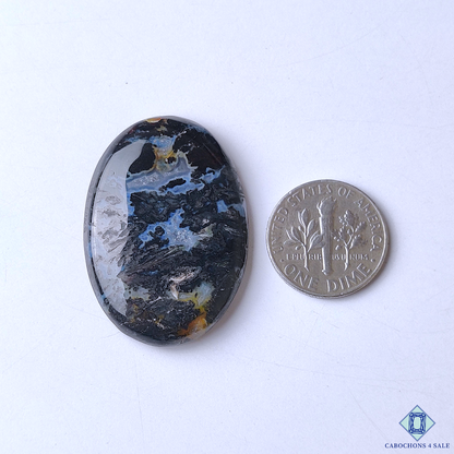 Palm Root Agate