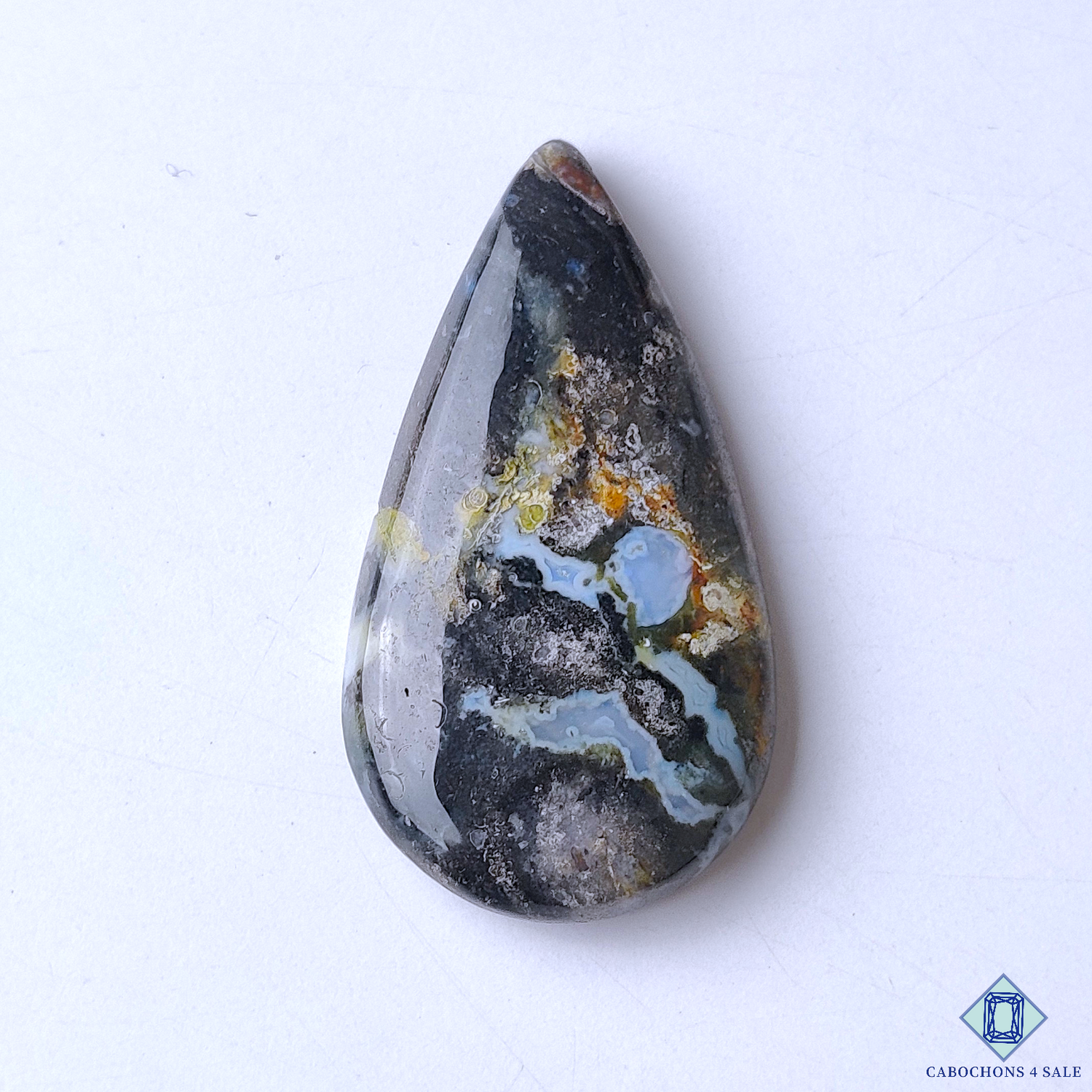 Palm Root Agate