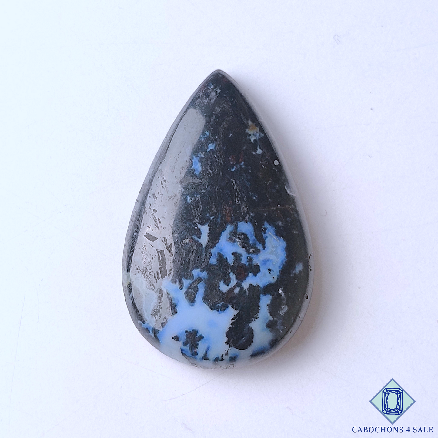 Palm Root Agate