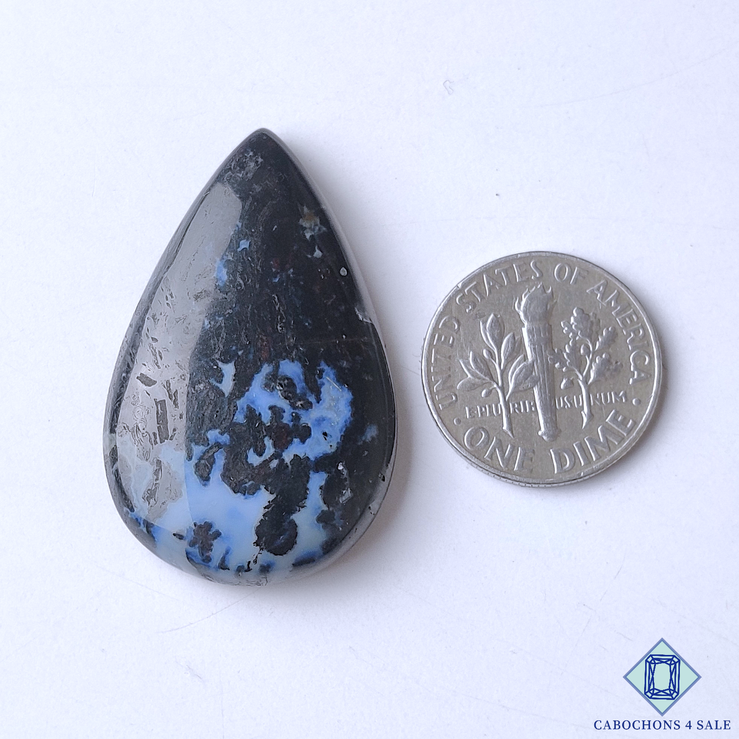 Palm Root Agate