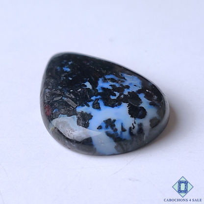 Palm Root Agate