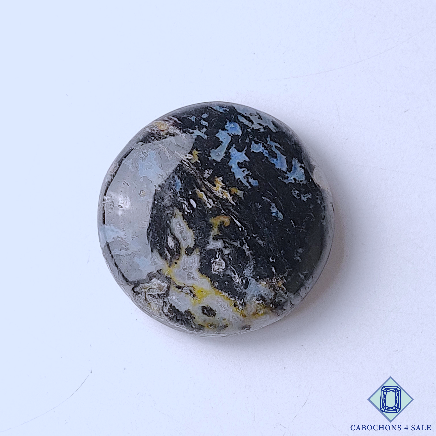 Palm Root Agate
