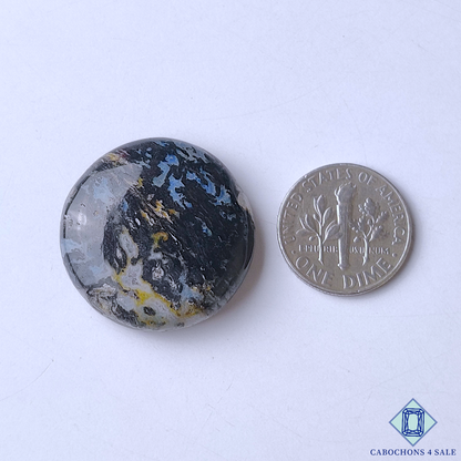 Palm Root Agate