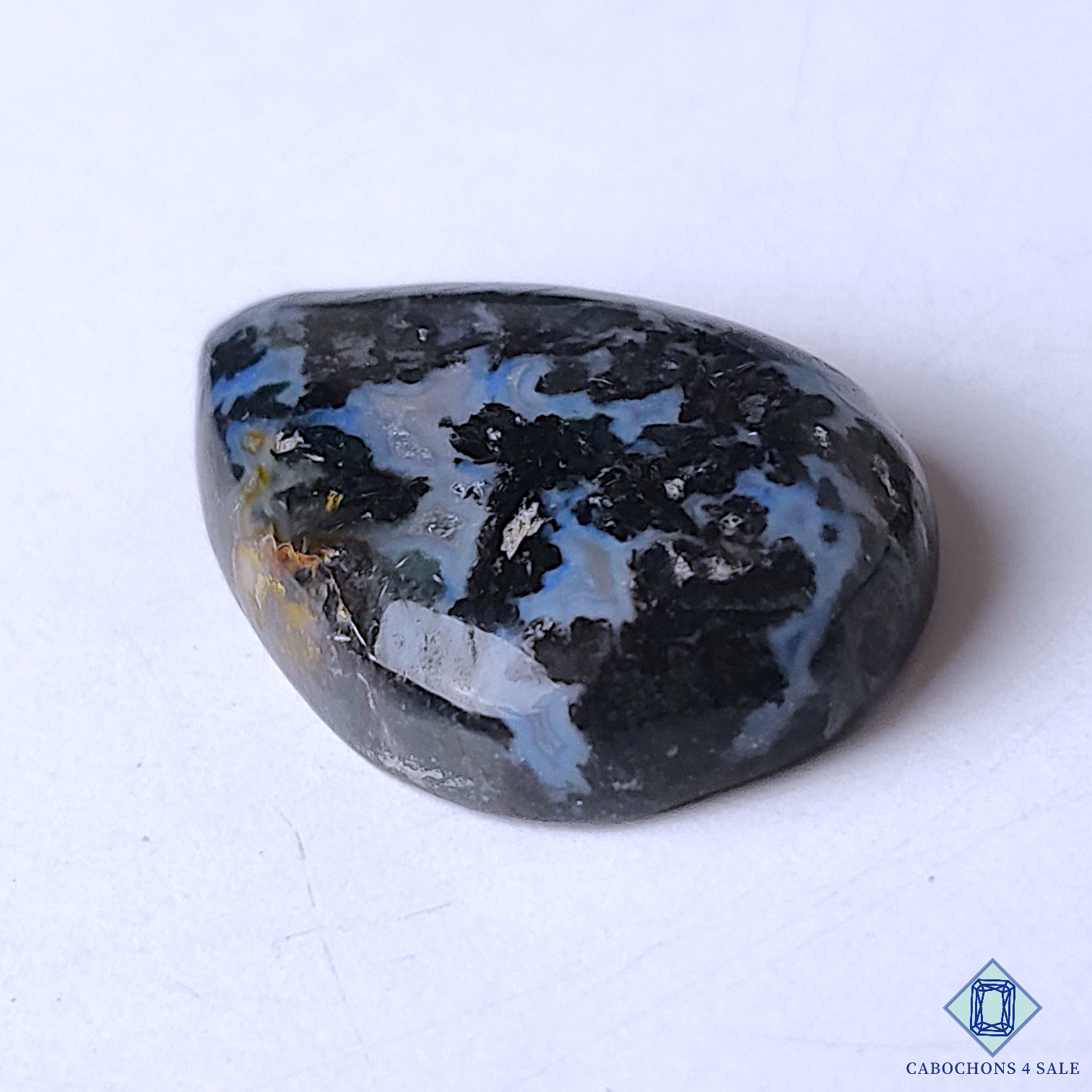 Palm Root Agate