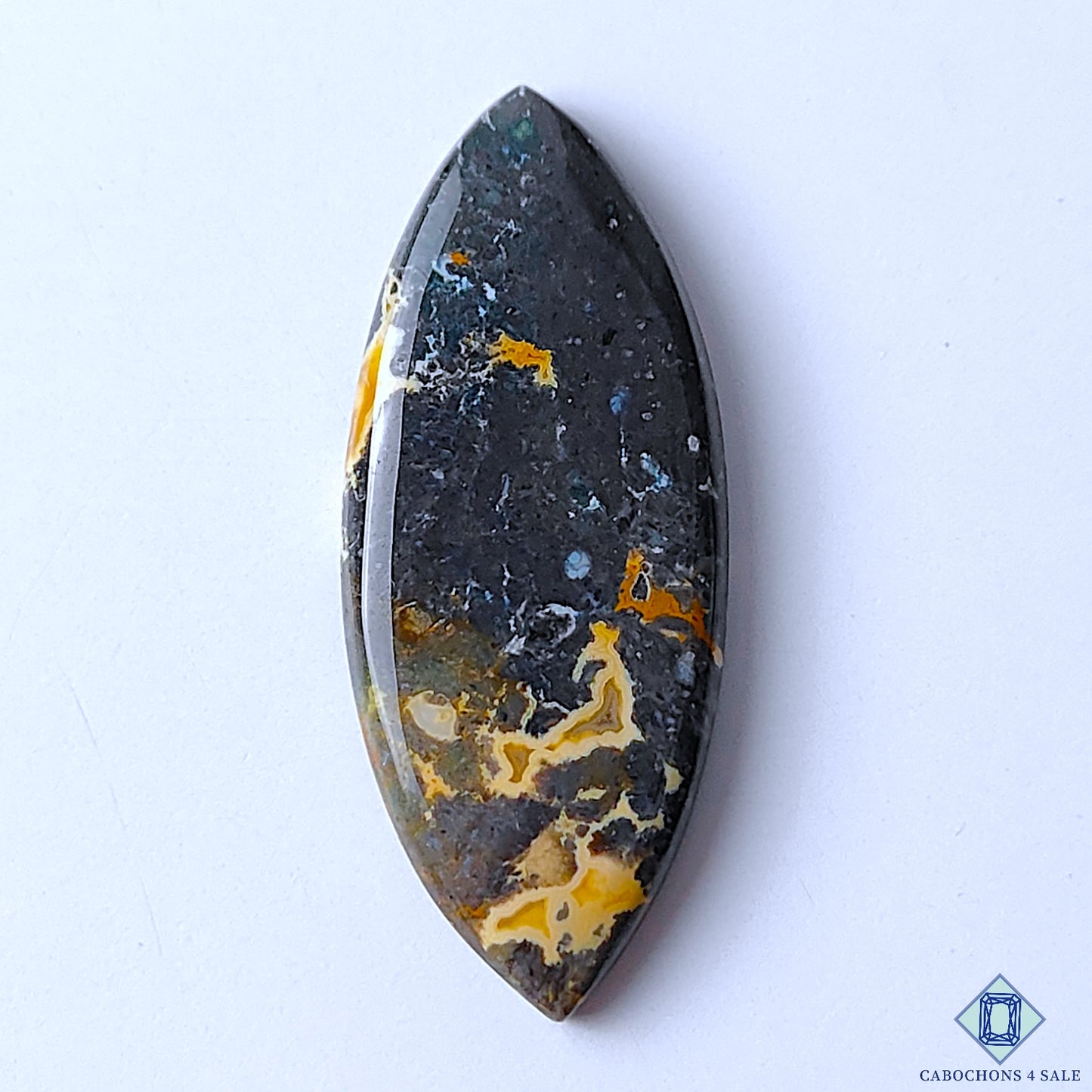 Palm Root Agate