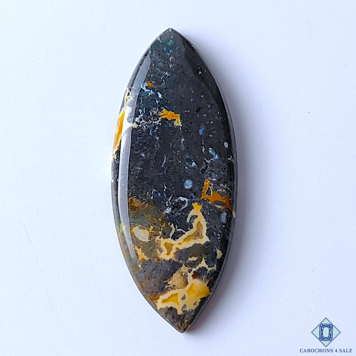 Palm Root Agate