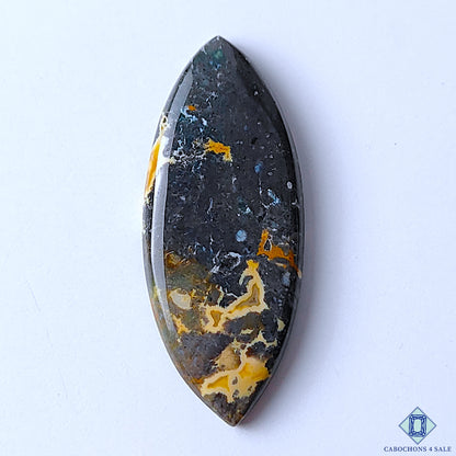Palm Root Agate