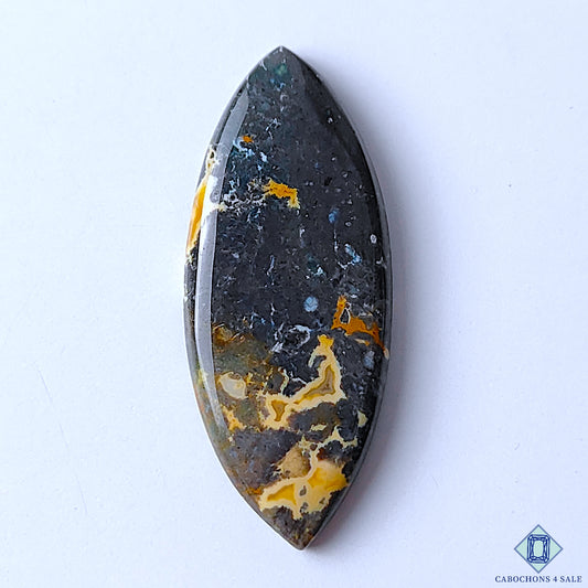 Palm Root Agate