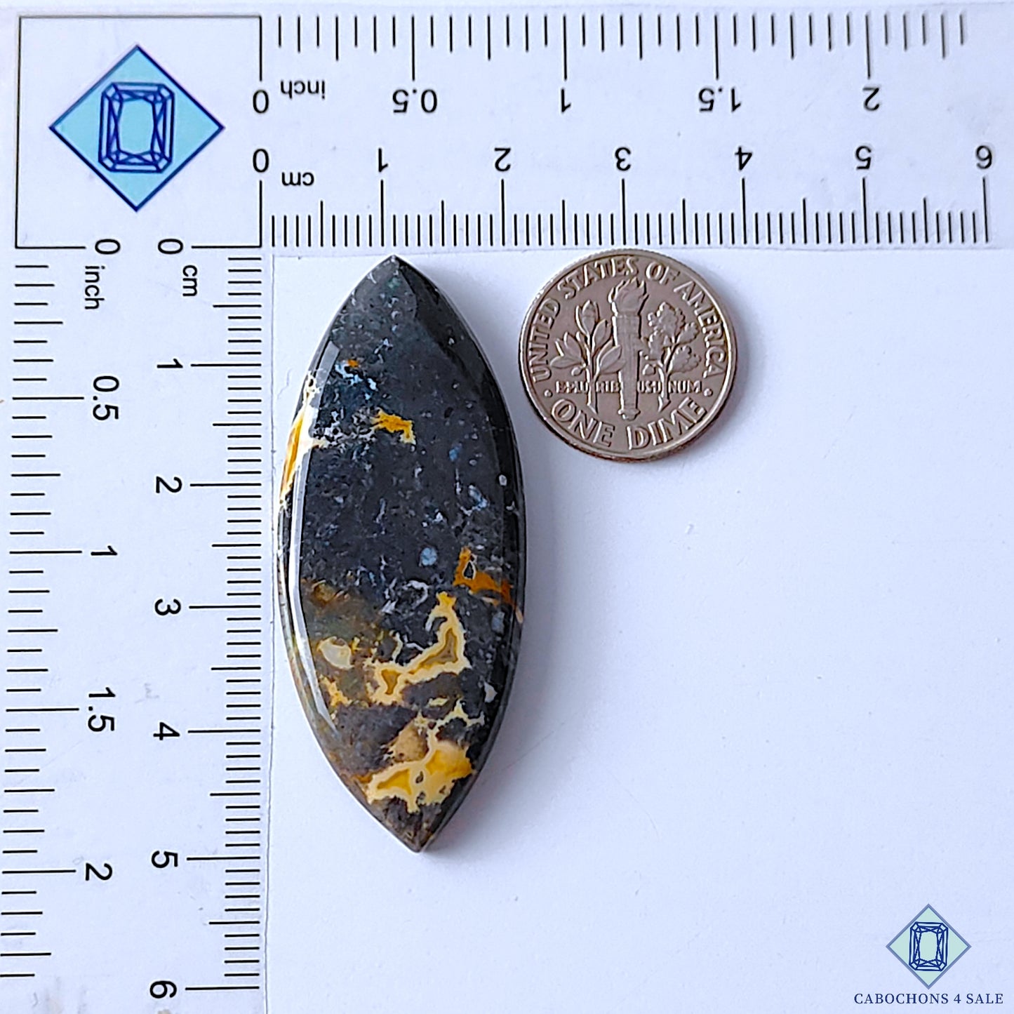 Palm Root Agate