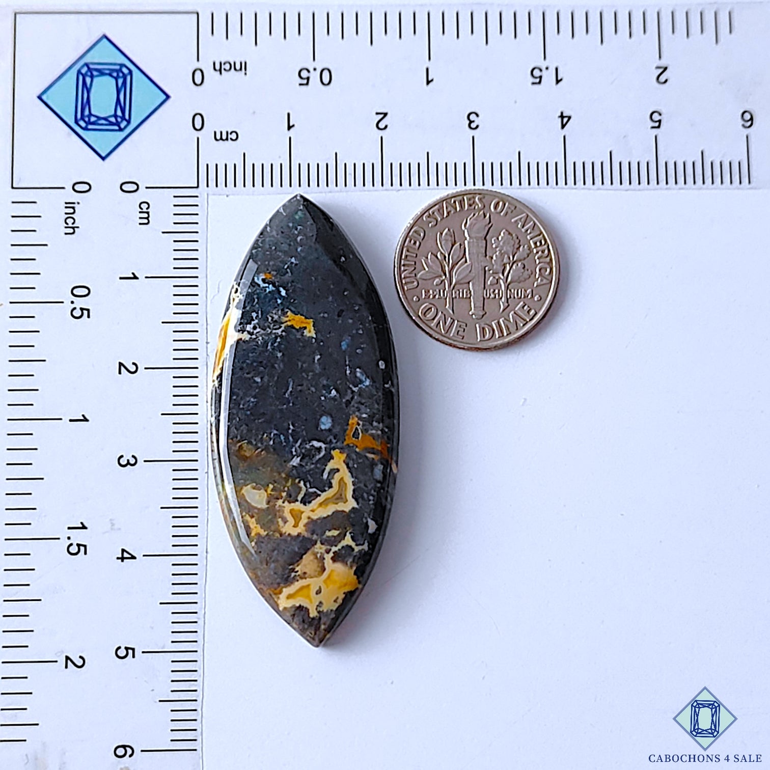 Palm Root Agate