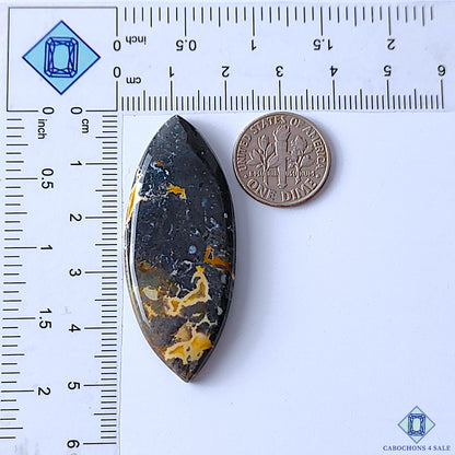 Palm Root Agate