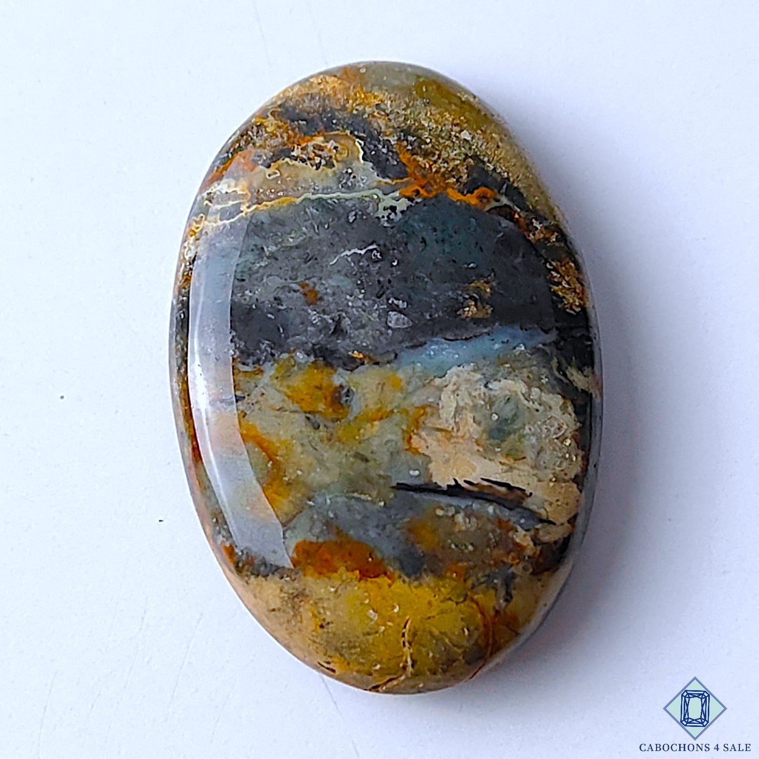 Palm Root Agate