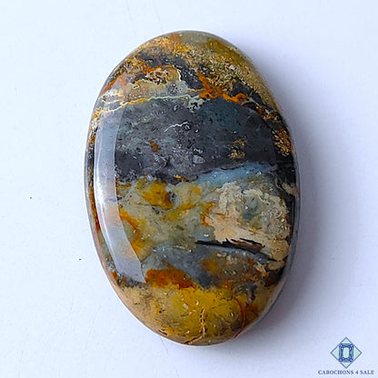 Palm Root Agate