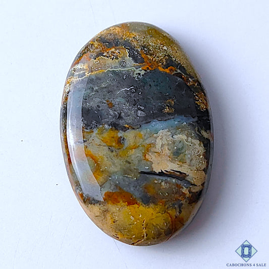 Palm Root Agate