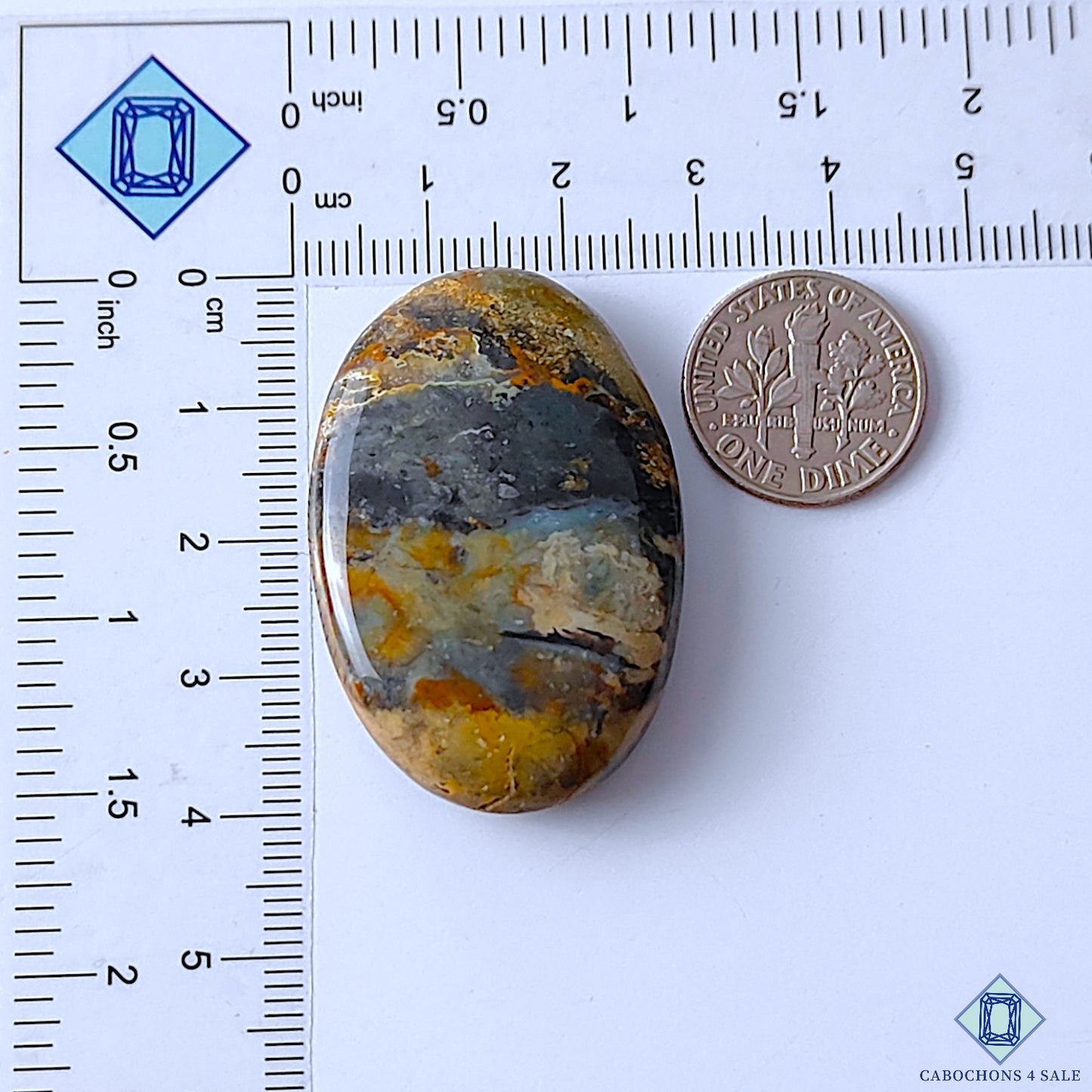 Palm Root Agate