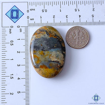 Palm Root Agate